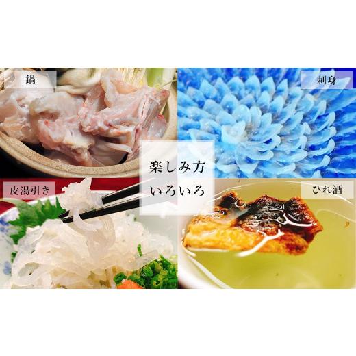 ふるさと納税 フグ 熊本県 上天草市  3ヶ月定期便 国産養殖 とらふぐ簡単調理で味わえるセット 吉宝ふぐ 1.3kg×3回 ふぐ 河豚 フグ とらふぐ トラフグ 鍋 ふ…_5