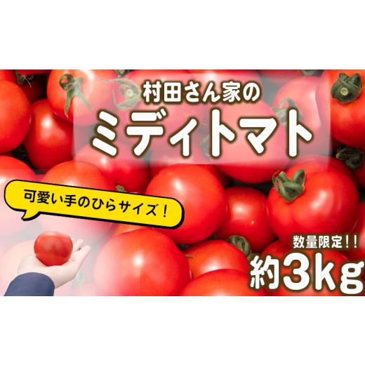 ふるさと納税 滋賀県 竜王町 村田さん家の ミディトマト 約 3kg 野菜 トマト ミニトマト 完熟 ギフト セット [ とまと ふるーつとまと トマト とまと tomato…