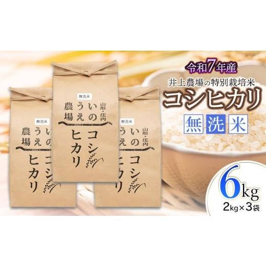 ふるさと納税 無洗米 山形県 鶴岡市 令和7年産 井上農場の特別栽培米 コシヒカリ 無洗米 6kg(2kg×3袋) K-750
