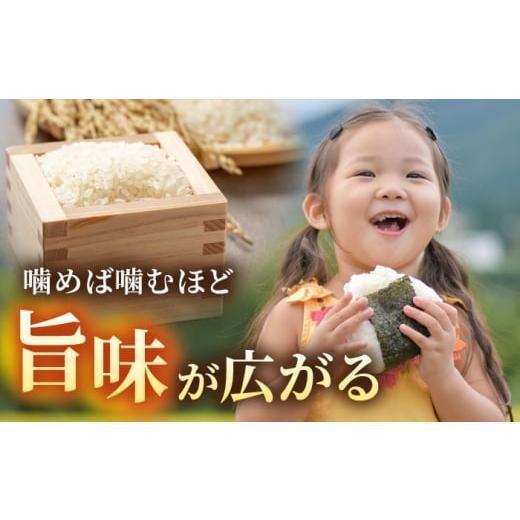 ふるさと納税 米 ヒノヒカリ 佐賀県 白石町 令和7年度産 しろいしもり