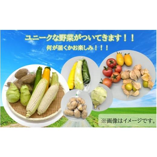 ふるさと納税 大分県 国東市 上田農園の赤とうもろこし（大和ルージュ）とユニーク野菜_2380R｜furusatochoice｜04