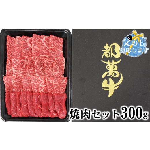 ふるさと納税 牛肉 焼肉・バーベキュー 宮崎県 西都市 父の日ギフト 都萬牛 牛肉 黒毛和牛焼肉 300g牛肉 焼肉 1-35 6-4a 父の日ギフト 6月17日〜20日着