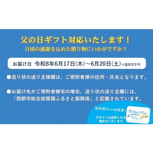 ふるさと納税 うなぎ 宮崎県 西都市 父の日ギフト 本部うなぎ屋 鰻の蒲焼３尾 国産うなぎ 宮崎 蒲焼 鰻 4.6-1 12-2a 父の日ギフト 6月17日〜20日着_6