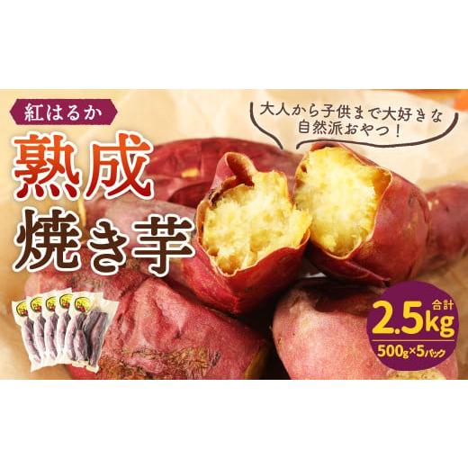 ふるさと納税 宮崎県 えびの市 えびの温泉 熟成焼き芋 紅はるか 約2.5kg 約500g×5パック 冷凍 焼きいも 焼芋 さつまいも さつま芋 お菓子 おやつ スイーツ 小…