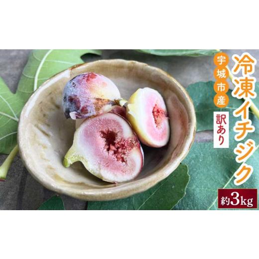 ふるさと納税 いちじく 熊本県 宇城市 訳あり 冷凍 イチジク 約3kg 合同会社宝Farm