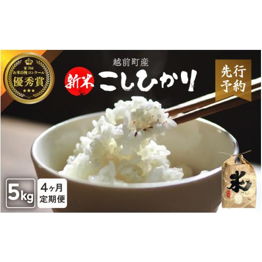 ふるさと納税 米 コシヒカリ 福井県 越前町 令和8年産新米・先行予約 定期便 4ヶ月連続お届け お米 こしひかり 5kg × 4回(計 20kg)(精米) 福井県産 炊き…