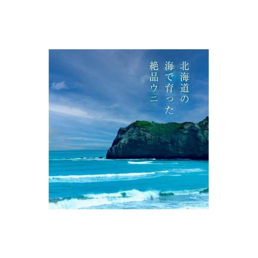 ふるさと納税 北海道 余市町 幸雲丹80g×2(ムラサキ 北海道産)　ウニ うに 雲丹 熟成製法 冷凍可能 2パック ムラサキウニ 赤ウニ 余市町 北海道 魚介類 目利き…｜furusatochoice｜03