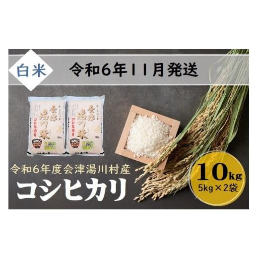 令和6年度新米☆会津米コシヒカリ精米 20キロ