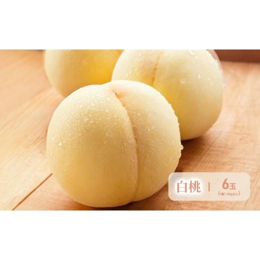 ふるさと納税 もも 岡山県 高梁市  No.5615-0526 フルーツ 2026年 先行予約 晴れの国 岡山 の フルーツ 定期便 6回コース 岡山県産 桃 もも 葡萄 ぶどう 梨 な…_2