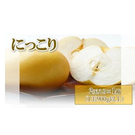 ふるさと納税 梨 栃木県 鹿沼市 先行予約 梨(にっこり) 2玉入り×1箱 (内容量1玉900g以上) 2025年10月上旬〜11月下旬頃に順次発送予定