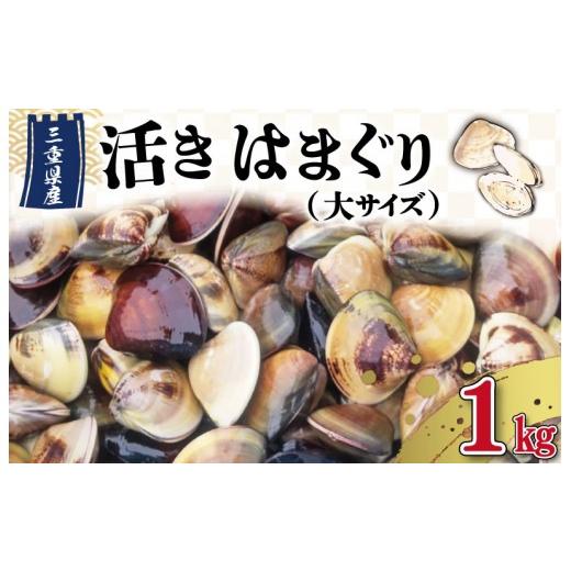 ふるさと納税 しじみ・あさり・蛤 蛤(はまぐり) 三重県 明和町 三重県産 活きはまぐり 大サイズ 1kg しもい水産 はまぐり ハマグリ 天然はまぐり 活はまぐ…