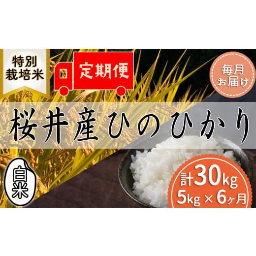 ふるさと納税 奈良県 桜井市 M-HE2.[白米][特別栽培米]桜井市高家産 ヒノヒカリ (5kg×6回)[毎月のお届け] 毎月のお届け