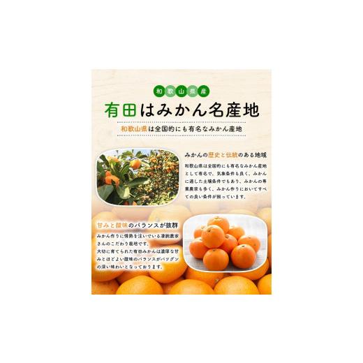 ふるさと納税 和歌山県 高野町 ご家庭用 濃厚完熟 有田みかん 約10kg