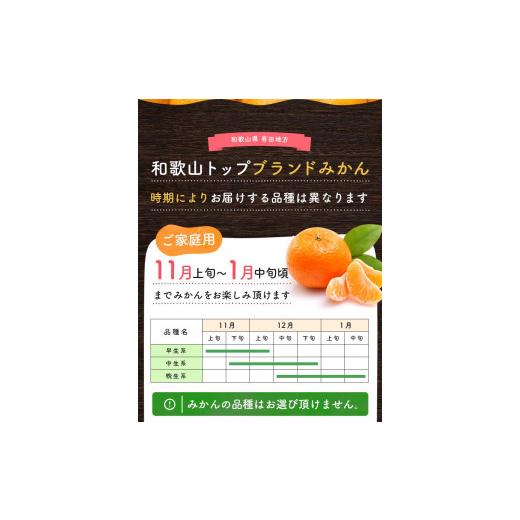 ふるさと納税 和歌山県 高野町 ご家庭用 濃厚完熟 有田みかん 約10kg