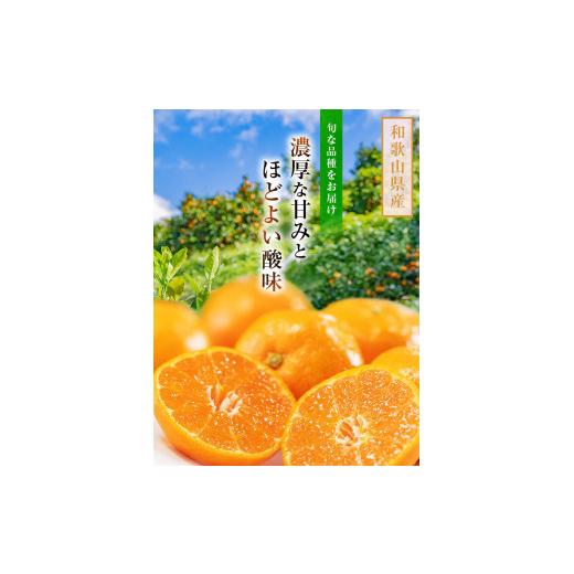 ふるさと納税 和歌山県 高野町 ご家庭用 濃厚完熟 有田みかん 約10kg