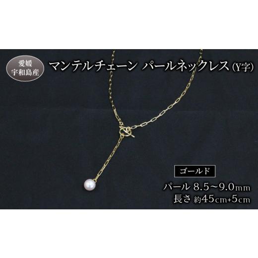 ふるさと納税 アクセサリー ネックレス 愛媛県 宇和島市 真珠 パール ネックレス ペンダント 8.5-9.0mm あこや真珠 ジュエリー マンテルチェーン Y字 Npearl …