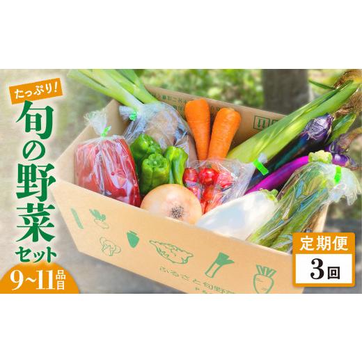 ふるさと納税 岩手県 金ケ崎町 【定期便／3ヶ月】たっぷり旬の野菜セット 9〜11品目 季節 旬 春野菜 夏野菜 秋野菜 金ケ崎町 旬 新鮮 野菜 セット 詰め合わせ …｜furusatochoice｜02