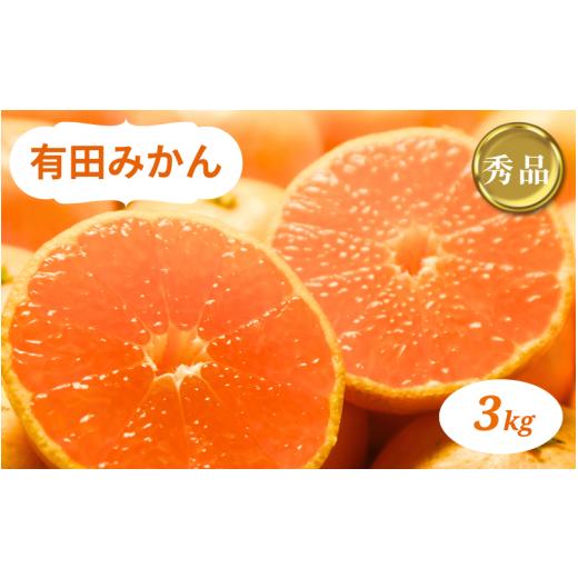 ふるさと納税 果物類 みかん 和歌山県 北山村 有田みかん 3kg 秀品 2026年10月中旬~2027年1月中旬頃に順次発送予定(お届け日指定不可) ミカン 有田みかん …