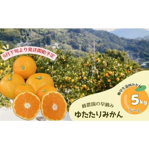 ふるさと納税 果物類 みかん 佐賀県 太良町 M94x1 峰農園の早摘みゆたたりみかん ゆら 5kg 極早生温州みかん 早生温州みかん 早生 温州 みかん 早熟 早摘み …