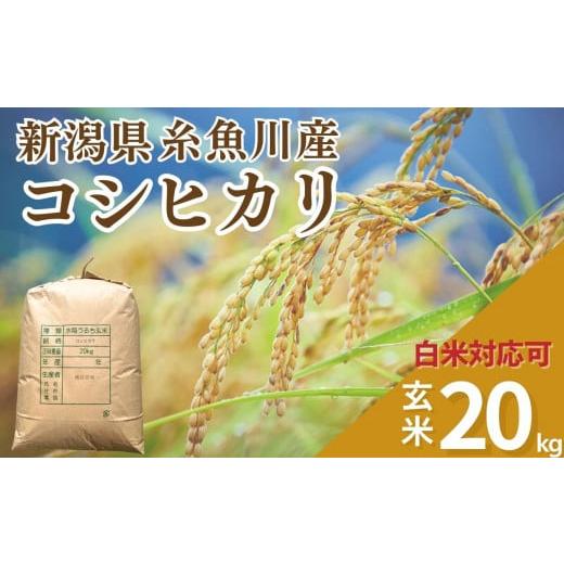 ふるさと納税 新潟県 糸魚川市 新潟県産コシヒカリ 玄米 20kg(精米サービス可能) 米・食味鑑定士お墨付き 早川の清流が育んだ美味しいお米[糸魚川市 こしひ…