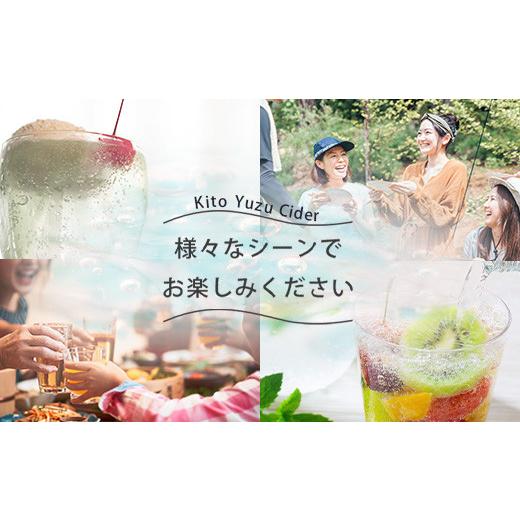 ふるさと納税 炭酸飲料 サイダー 徳島県 那賀町  定期便3回 きとうゆずサイダー 340ml 24本入りセット×3回 計72本［徳島県 那賀町 きとうゆず 木頭ゆず 木頭…_5