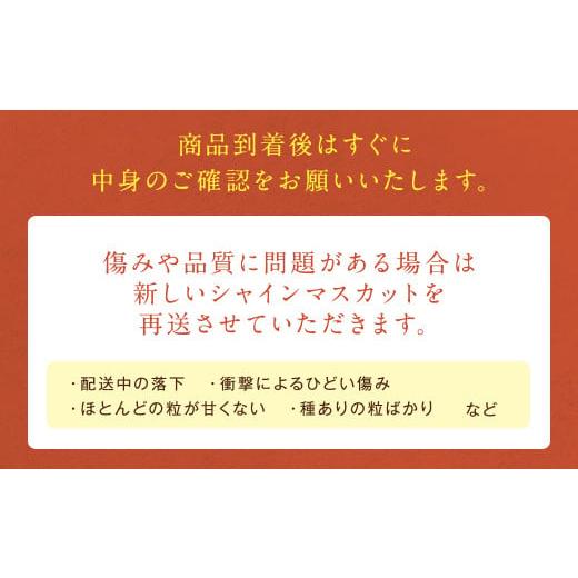 ふるさと納税 福岡県 筑後市  農園直送 ！ シャインマスカット 約1.8kg 3〜4房 【2024年8月上旬〜10月上旬発送】｜furusatochoice｜07