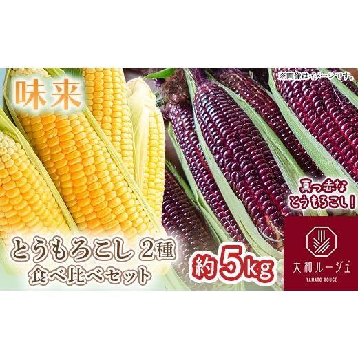 ふるさと納税 とうもろこし 茨城県 茨城町 450 とうもろこし 食べ比べ 大和ルージュ 味来 合計約5kg 先行予約 2026年7月上旬〜下旬頃発送予定 赤 レッド 野菜 …
