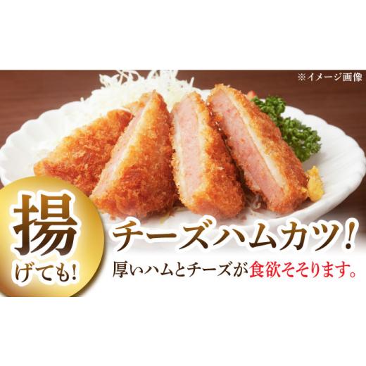 ふるさと納税 肉 ハム 佐賀県 武雄市 12回定期便 プレスハム ブロック 370g×3本 ／宮地ハム UBM023