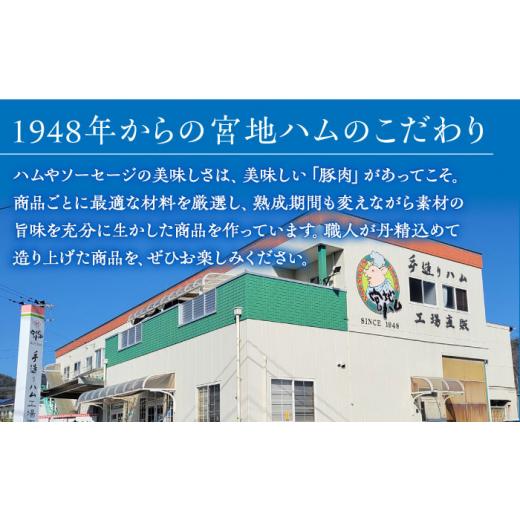 ふるさと納税 肉 ハム 佐賀県 武雄市 12回定期便 プレスハム ブロック 370g×3本 ／宮地ハム UBM023