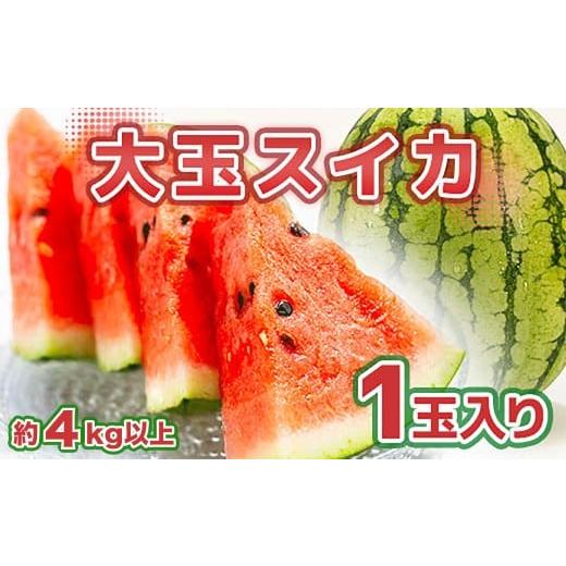 ふるさと納税 スイカ 熊本県 熊本市 熊本市産 すいか 1玉 4kg以上 2026年5月上旬〜6月上旬迄発送予定