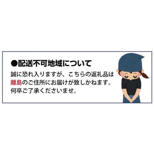 ふるさと納税 和歌山県 新宮市 【先行予約】特大まりひめ いちご 朝摘 6個〜11個入り×4パック 2025年1月初旬〜3月中旬頃に順次発送予定（お届け日指定不可）…｜furusatochoice｜08