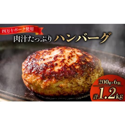 ふるさと納税 高知県 須崎市 ハンバーグ 四万十ポーク 入り 1.2kg ( 200g × 6個 ) 冷凍 真空 小分け 個包装 肉汁 たっぷり 大容量 大きめ 合挽き 牛肉 豚肉 …