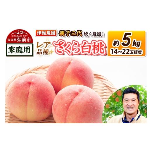 ふるさと納税 もも 青森県 弘前市 26年9月発送 もも 2026年産 レア品種 さくら白桃 家庭用 約5kg 14〜22玉程度 津軽農園 採れたて 農家直送 おいしい ピーチ …
