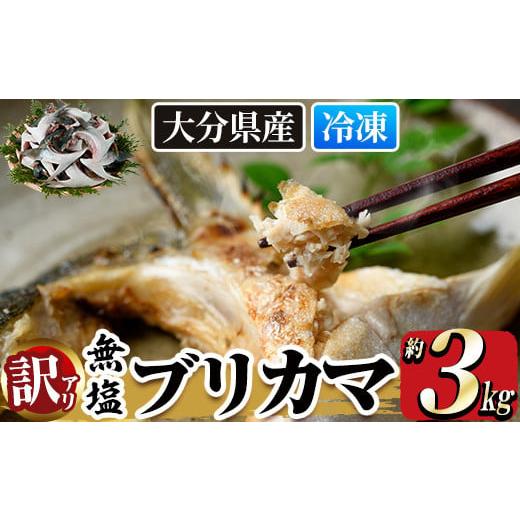 ふるさと納税 大分県 佐伯市 [訳あり]無塩ブリカマ(約3kg)[ET002][(有)三宅水産]