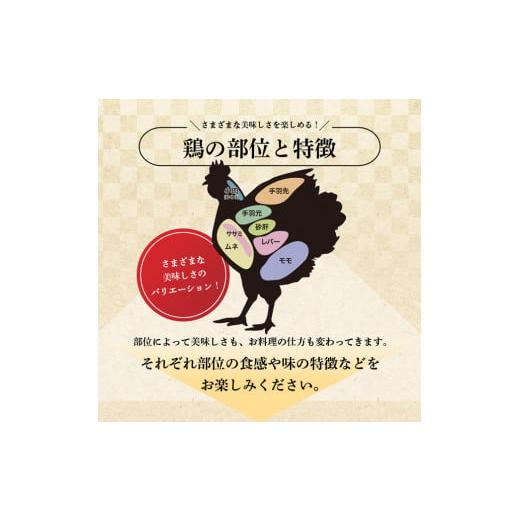 ふるさと納税 宮崎県 川南町 ※令和6年6月発送※BBQチキンセット（宮崎県産若鶏バラエティ焼き鳥セット8本×4P・骨付きモモ5本） 肉 鶏 鶏肉 【令和6年6月発送…｜furusatochoice｜07