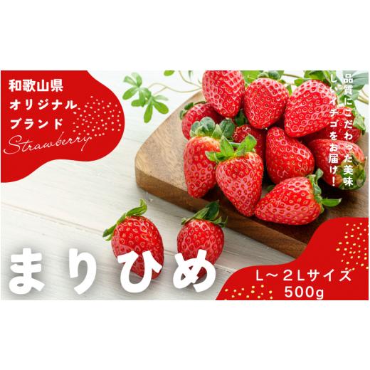 ふるさと納税 和歌山県 新宮市 [先行予約]まりひめ いちご 12粒〜15粒入り×2パック(500g)2025年1月初旬〜2025年3月末頃に順次発送予定(お届け日指定不可…