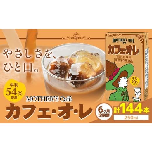ふるさと納税 飲料類 乳飲料 熊本県 菊池市 常温保存可能 1ヶ月毎6回定期便 牛乳54%使用 カフェ・オ・レ 250ml×24本 計144本 合同会社たべたせいか[お申し…