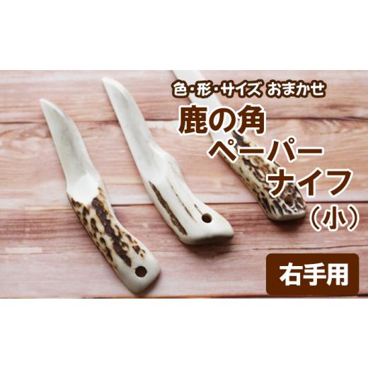 ふるさと納税 文房具・玩具 岩手県 滝沢市 鹿の角 ペーパーナイフ 小 1個 右手用 竜鹿 / 鹿角 鹿 しか シカ グッズ 本物 加工 加工品 工芸 工芸品 クラフト …