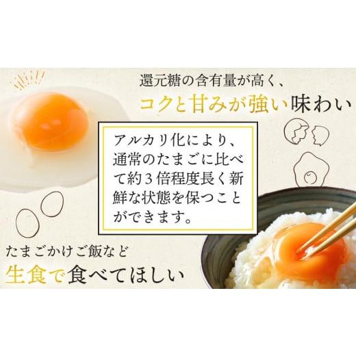 ふるさと納税 卵（鶏、烏骨鶏等） 和歌山県 九度山町 アルカリ化 玉子