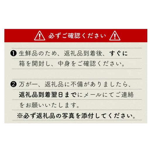 ふるさと納税 埼玉県 東松山市 【限定10箱】【先行予約】東松山市産 白とうもろこし 10〜11本 ハニーホワイト 雪の妖精【新鮮】 ／ 季節野菜 とうもろこし 白…｜furusatochoice｜07