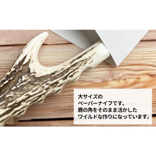 ふるさと納税 文房具・玩具 岩手県 滝沢市 鹿の角 ペーパーナイフ 大 1