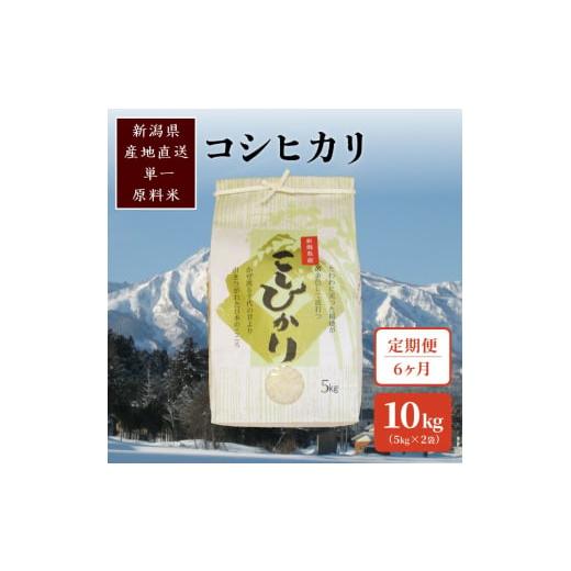 ふるさと納税 米 コシヒカリ 新潟県 上越市 毎月定期便 標高200mで育てた棚田米|新潟上越中郷産・従来種コシヒカリ精米10kg(5kg×2)全6回
