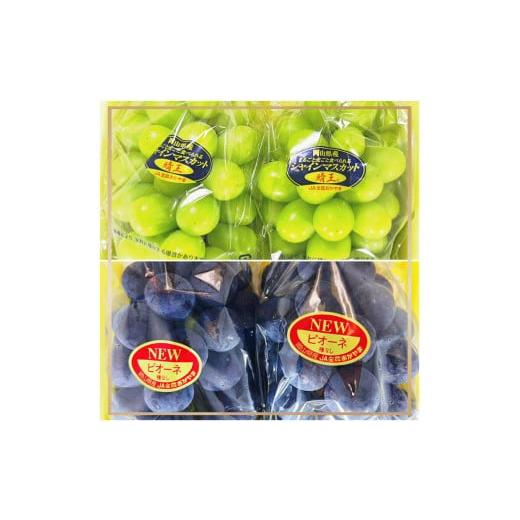 ふるさと納税 ぶどう マスカット 岡山県 岡山市 2026年 岡山県産 ニューピオーネ2房(1房480g以上)・シャインマスカット晴王2房(1房480g以上) 化粧箱入り | …