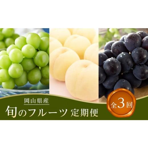 ふるさと納税 果物類 岡山県 岡山市 全3回コース 2026年 岡山県産 旬のフルーツ定期便
