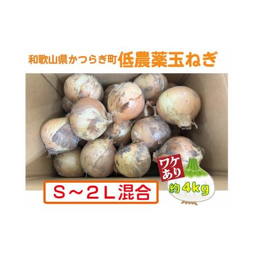 ふるさと納税 野菜類 玉ねぎ 和歌山県 かつらぎ町  2026年発送分・先行予約 訳あり・ご家庭用 農家さん直送 低農薬玉ねぎ 約4kg S〜2L混合 2026年4月中旬〜…の画像
