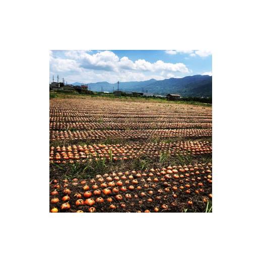 ふるさと納税 野菜類 玉ねぎ 和歌山県 かつらぎ町  2026年発送分・先行予約 訳あり・ご家庭用 農家さん直送 低農薬玉ねぎ 約4kg S〜2L混合 2026年4月中旬〜…の画像