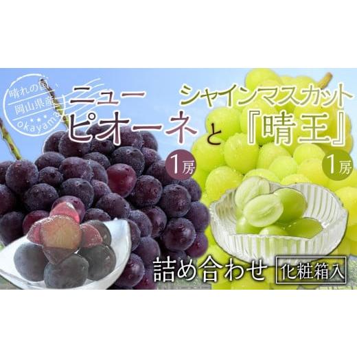ふるさと納税 果物類 ぶどう 岡山県 岡山市 ぶどう 2026年 岡山県産 詰合/ニューピオーネ1房(480g以上)・シャインマスカット『晴王』1房(480g以上) 化粧箱入…