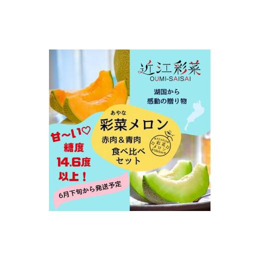 ふるさと納税 滋賀県 草津市 彩菜メロン食べ比べセット