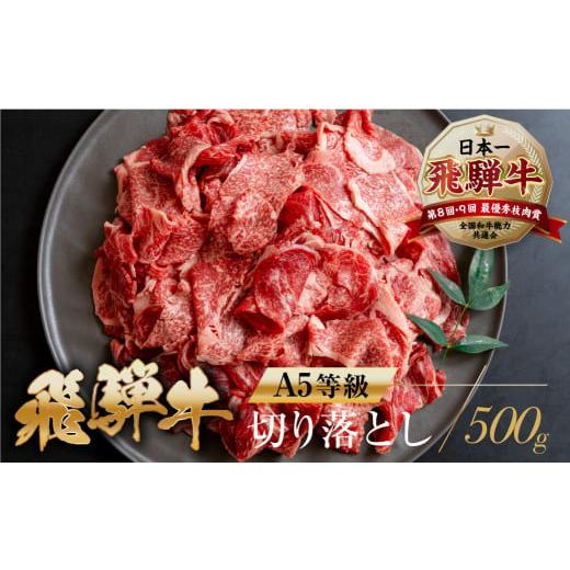 ふるさと納税 牛肉 すき焼き 岐阜県 本巣市 トキノ屋 A5等級 飛騨牛切り落とし 500g 牛肉 肉 和牛 国産牛 肉 焼肉 すき焼き a5 不揃い 小分け 冷凍 日付指定 …