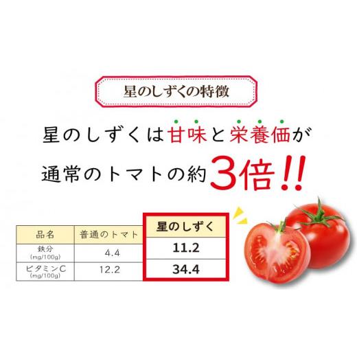 ふるさと納税 トマト ミニトマト 徳島県 阿波市 トマト フルーツトマト 500g 野菜 やさい トマト 薄皮 星のしずく 完熟 高糖度 糖度 8度 果物 先行予約 《2026…_3